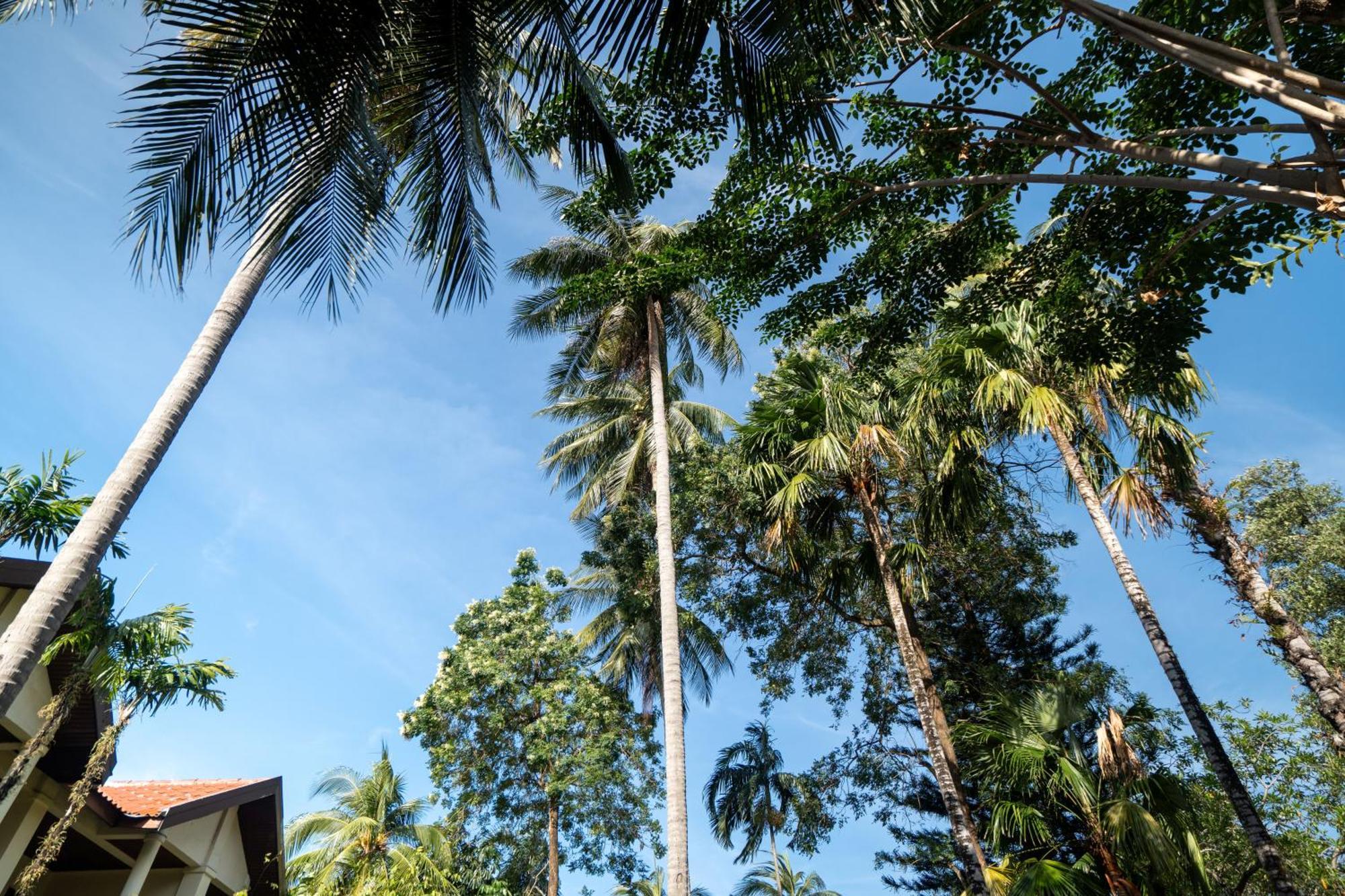 Phuket Leelavadee Hua Ting Resort Patong 외부 사진